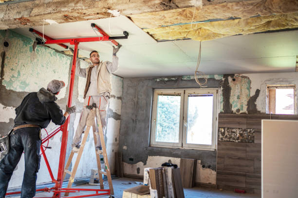 Best Cellulose Insulation in Redland, TX
